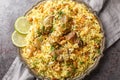 Hot delicious Kacchi Biryani with nuts, raisins, fried onion closeup on the plate. Horizontal top view Royalty Free Stock Photo