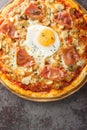 Hot delicious Pizza Bismarck with tomato sauce, melted cheese, egg, mushrooms, ham close-up on a wooden board on the table. Royalty Free Stock Photo