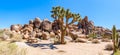 Desert landscape at the Joshua Tree National Park Royalty Free Stock Photo