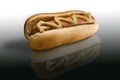 Hot Dog Royalty Free Stock Photo