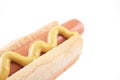 Hot dog Royalty Free Stock Photo