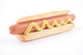 Hot dog Royalty Free Stock Photo