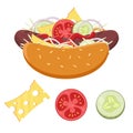 Flat vector fast food concept. Cartoon illustration of hot dogs with sausage, cheese, slices of tomato, pickle, onion, cabbage. H