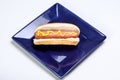 Hot dog on blue plate Royalty Free Stock Photo