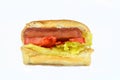 hot dog in a bun with lettuce and tomato slices, grilled beef sausage called wiener (Vienna sausage) Royalty Free Stock Photo