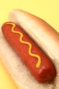 Hot Dog closeup
