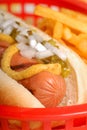 Hot dog with condiments Royalty Free Stock Photo