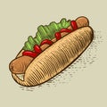 Hot dog fast food engraving style vector