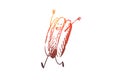 Hot dog, food, sausage, bun, tasty concept. Hand drawn isolated vector.