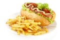Hot dog with french fries on a plate on white Royalty Free Stock Photo