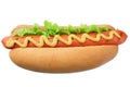 Hot dog grill with lettuce and mustard isolated on white background. fast food Royalty Free Stock Photo