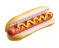 Hot dog grill with mustard Royalty Free Stock Photo