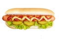 Hot dog grill with mustard and ketchup Royalty Free Stock Photo