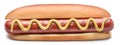 Hot dog - grilled sausage in a bun with sauces isolated on white background Royalty Free Stock Photo