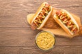 Hot dog with grilled sausage  mustard  and ketchup  onions  and greens on paper background Royalty Free Stock Photo