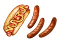 Hot dog and grilled sausages on white background. Watercolor illustration Royalty Free Stock Photo