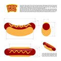 Hot dog infographics standard. reference sizes of fast food. Dr