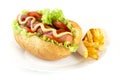 Hot dog with ingredients with french fries on plate on white background