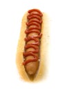 Hot dog with ketchup