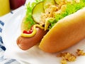 Hot dog with lettuce, gherkin and fried onions