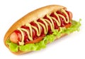 Hot dog Royalty Free Stock Photo