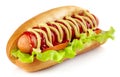 Hot dog Royalty Free Stock Photo