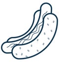 Hot Dog Line Vector Isolated Icon customized and editable Royalty Free Stock Photo