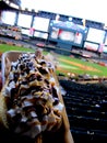 Hot Dog Loaded At Ballpark