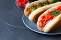 Homehand tasty Hot dogs with different toppings Royalty Free Stock Photo