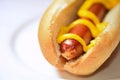 Hot dog with mustard closeup