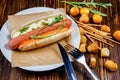 Hot dog with pickles and arugula and smoked beer snacks. Royalty Free Stock Photo