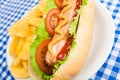 Hot Dog with Potato Chips Royalty Free Stock Photo