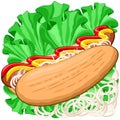 Hot Dog Sandwich with Sausage, Mustard, Ketchup, Lettuce and Onions Food Vector Illustration Royalty Free Stock Photo