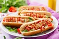 Hot dog with sausage. bacon, cucumber, tomato and red onion Royalty Free Stock Photo