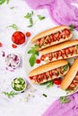 Hot dog with sausage. bacon, cucumber, tomato and red onion Royalty Free Stock Photo