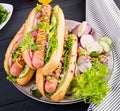 Hot dog with sausage, cucumber, radish and lettuce on dark wooden background.