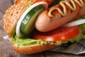 Hot dog with sausage grilled, vegetables and mustard Royalty Free Stock Photo