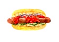 Hot dog with sausage, ketchup and pickles. Hand drawn watercolor illustration isolated on white background