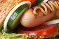 Hot dog with sausage, vegetables macro. horizontal Royalty Free Stock Photo