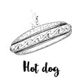 Hot dog sketch hand drawn. Fast food retro illustration. Fresh bun with grilled sausage and mustard or ketchup. Great for menu des