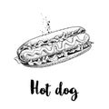 Hot dog sketch hand drawn. Fast food retro illustration. Fresh bun with grilled sausage and mustard or ketchup and lettuce leaves.