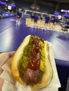 Hot Dog at Sporting event