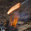 Hot dogs cooking over a fire