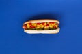 Homemade hot dogs with carrot on the blue table. Royalty Free Stock Photo