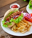 Hot Dogs with French fries on white plate Royalty Free Stock Photo