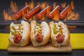 Hot Dogs Grilled in Buns and on a barbecue Grill Royalty Free Stock Photo