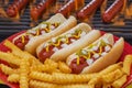 Hot Dogs Grilled in Buns and on Barbecue Grill Royalty Free Stock Photo