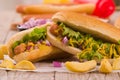 Hot dogs. Royalty Free Stock Photo