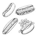 Hot dogs set. Hand drawn sketch style illustration. Fast food. Hot dog constructor with sausage, tomato, onion rings and lettuce.