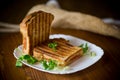 Hot double sandwich with lettuce leaves and stuffed in a plate